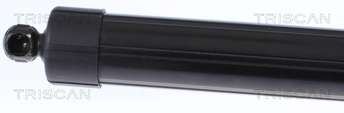 Gas Spring, boot/cargo area