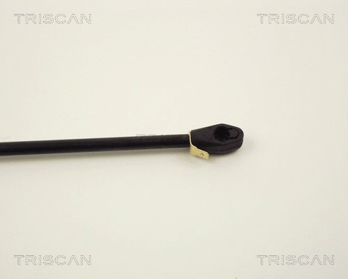 Gas Spring, boot/cargo area