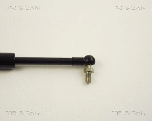 Gas Spring, boot/cargo area