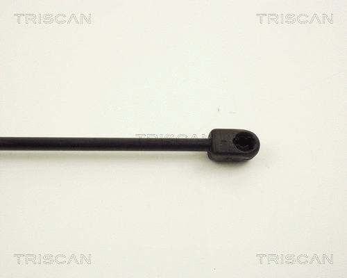 Gas Spring, boot/cargo area
