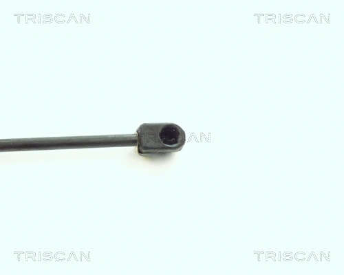 Gas Spring, boot/cargo area
