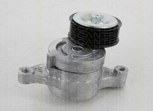 Belt Tensioner, V-ribbed belt (8641 503009)