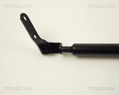 Gas Spring, boot/cargo area