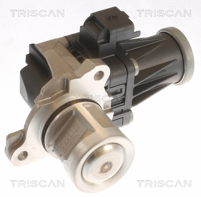 EGR Valve (8813 10053)