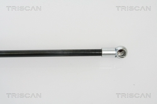 Gas Spring, boot/cargo area