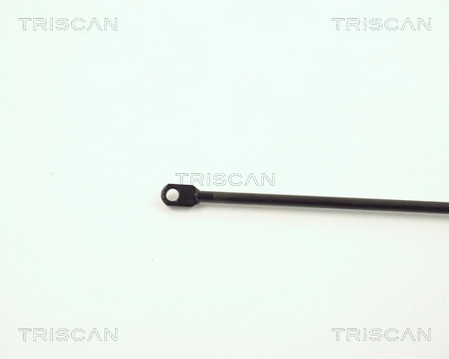 Gas Spring, boot/cargo area