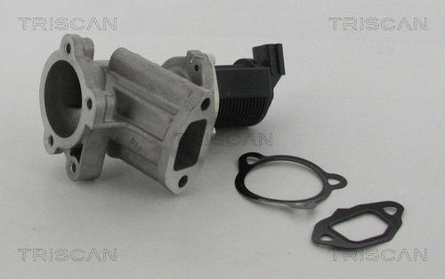 EGR Valve (8813 24015)