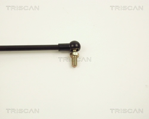 Gas Spring, boot/cargo area