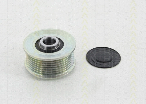 Alternator Freewheel Clutch (8641 404002)