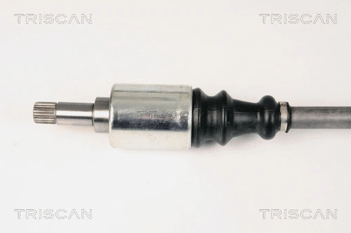 Drive Shaft