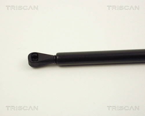 Gas Spring, boot/cargo area