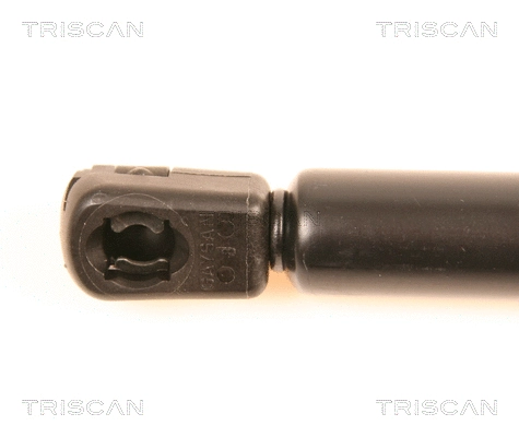 Gas Spring, boot/cargo area