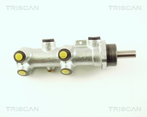 Brake Master Cylinder (8130 25119)