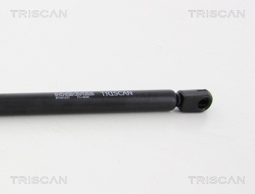 Gas Spring, boot/cargo area