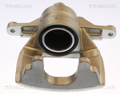 Brake Caliper (8175 13134)