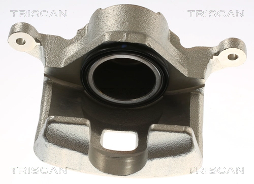 Brake Caliper (8175 14226)