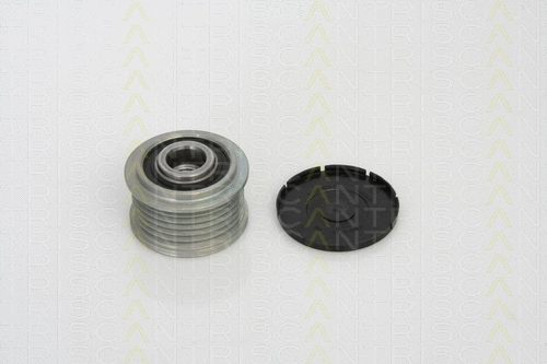 Alternator Freewheel Clutch (8641 234006)