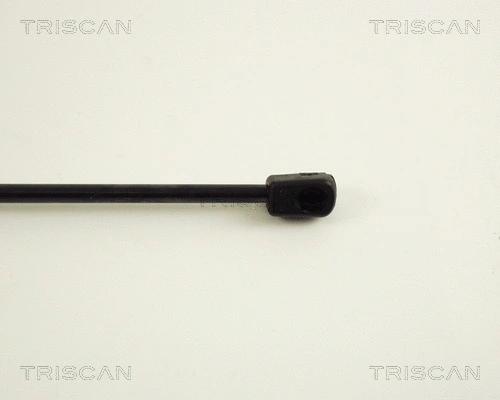 Gas Spring, boot/cargo area