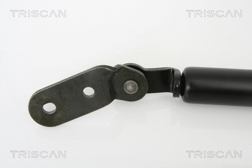 Gas Spring, boot/cargo area