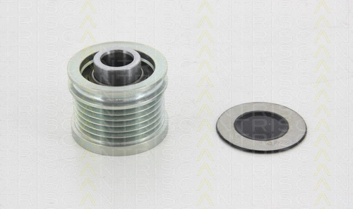 Alternator Freewheel Clutch (8641 164009)