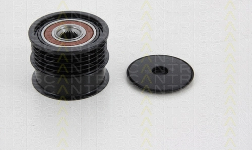 Alternator Freewheel Clutch (8641 244007)
