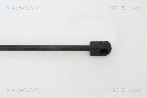 Gas Spring, bonnet