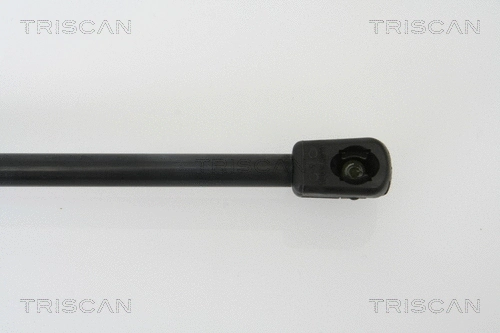 Gas Spring, boot/cargo area