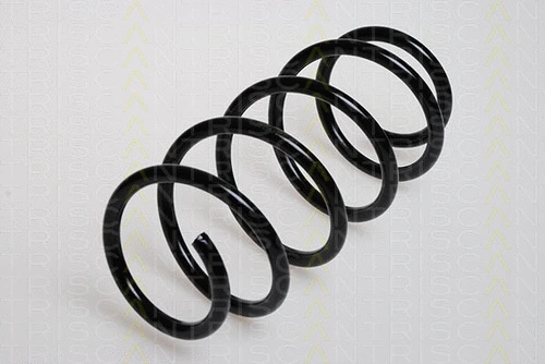 Suspension Spring (8750 24030)