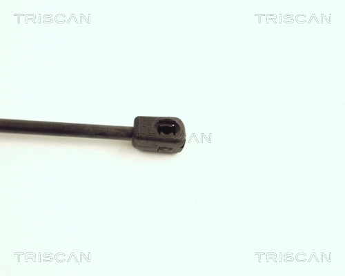 Gas Spring, boot/cargo area