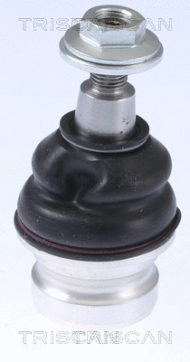 Ball Joint (8500 295036)