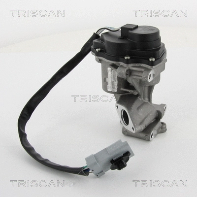 EGR Valve (8813 10202)