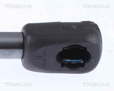 Gas Spring, boot/cargo area