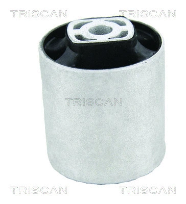 Mounting, control/trailing arm (8500 29884)