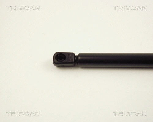 Gas Spring, boot/cargo area