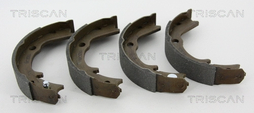 Brake Shoe Set, parking brake (8100 42016)
