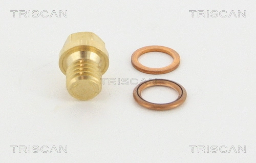 Screw Plug, oil sump (95-0969)