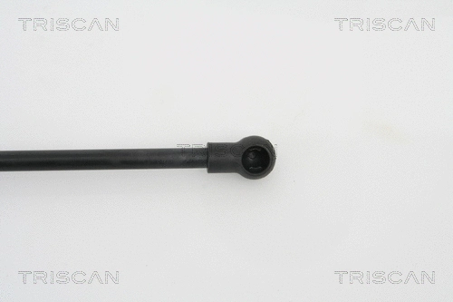 Gas Spring, boot/cargo area