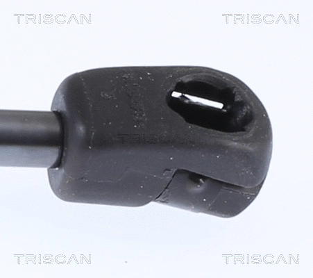 Gas Spring, bonnet