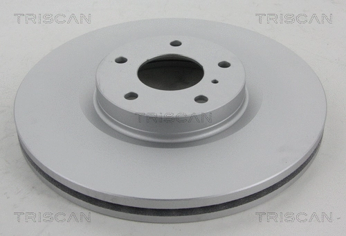 Brake Disc (8120 14175C)