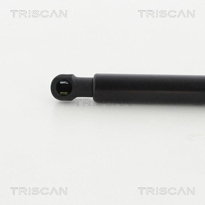 Gas Spring, boot/cargo area