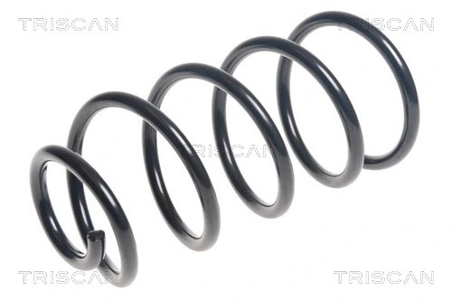 Suspension Spring (8750 24194)