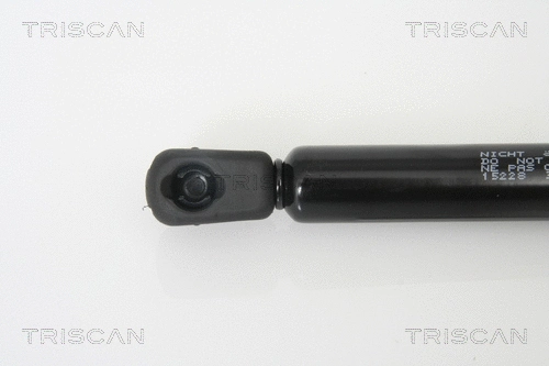 Gas Spring, boot/cargo area