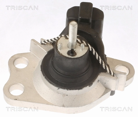 Mounting, engine