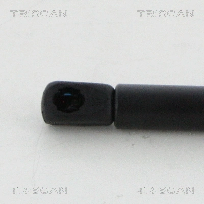 Gas Spring, boot/cargo area