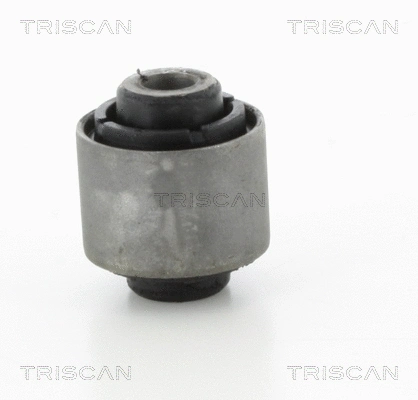 Mounting, control/trailing arm (8500 298051)