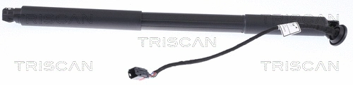 Gas Spring, boot/cargo area (8710 27302)