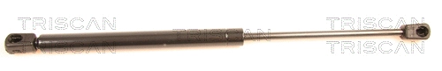 Gas Spring, boot/cargo area (8710 29252)