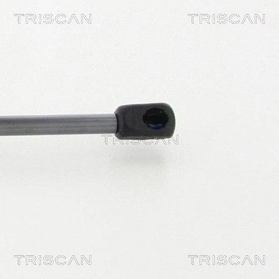 Gas Spring, boot/cargo area