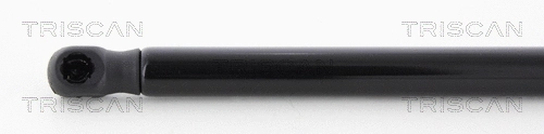 Gas Spring, boot/cargo area