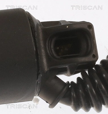 Gas Spring, boot/cargo area